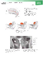 Sobotta  Atlas of Human Anatomy  Trunk, Viscera,Lower Limb Volume2 2006, page 210